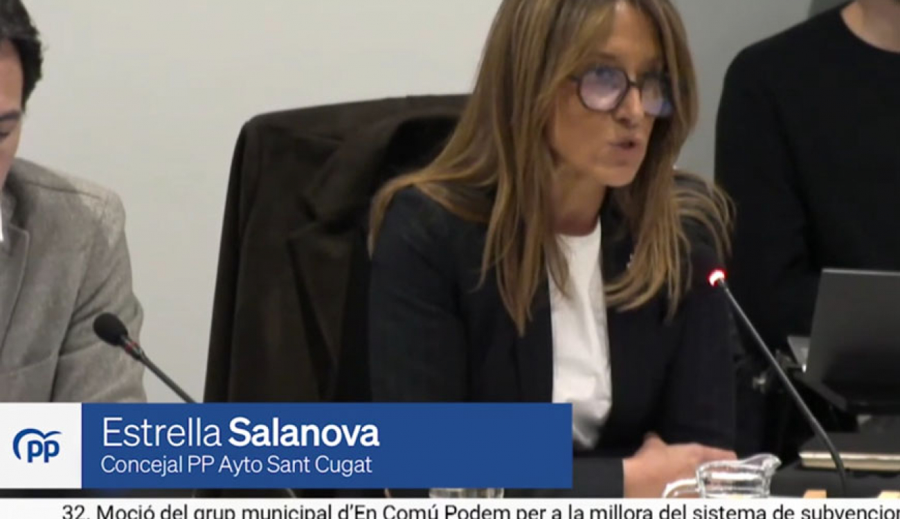 subvencions entitats